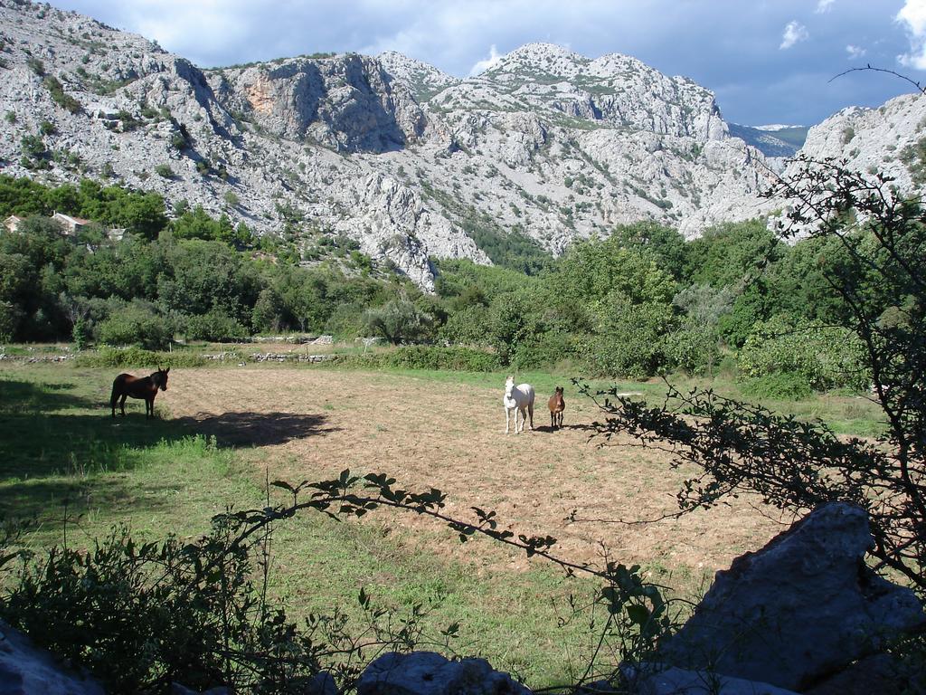 Holiday Home Paklenica Starigrad Paklenica Quarto foto