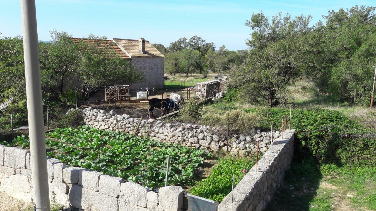 Holiday Home Paklenica Starigrad Paklenica Exterior foto